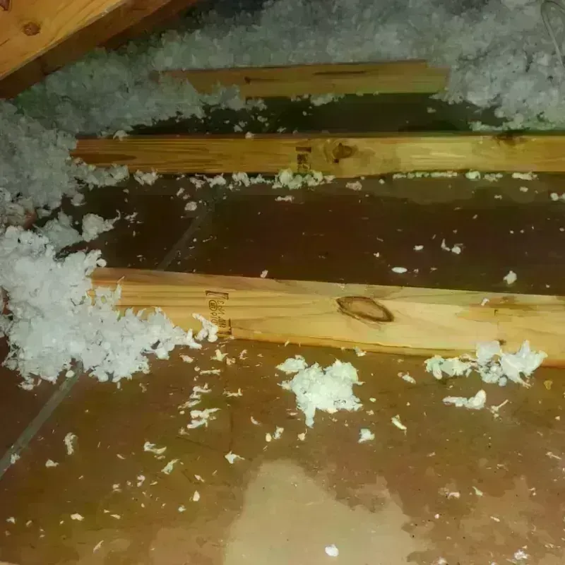 Attic Water Damage in North Brookfield, MA